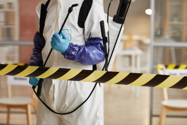 Professional Sewage Cleanup technician working in Meriden, NH